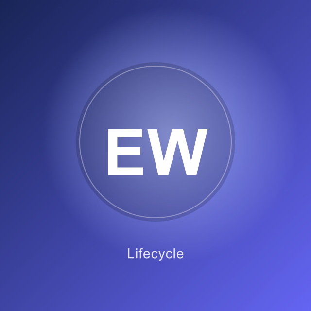 Emily Watson - Lifecycle Marketing Manager