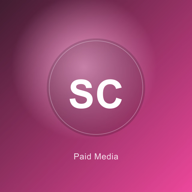 Sarah Chen - Paid Media Specialist